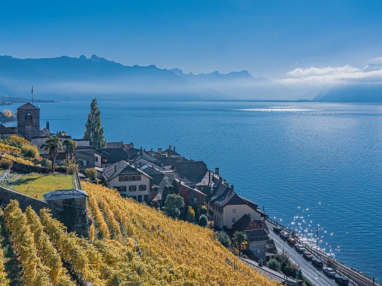 Photo Lavaux Lac Léman Suisse