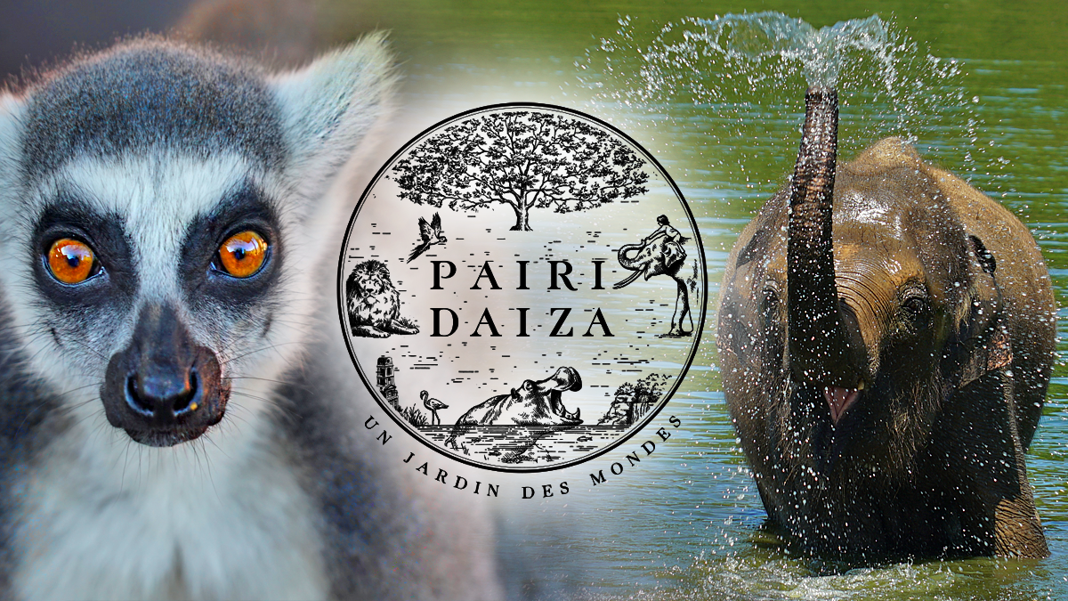 affiche parc animalier