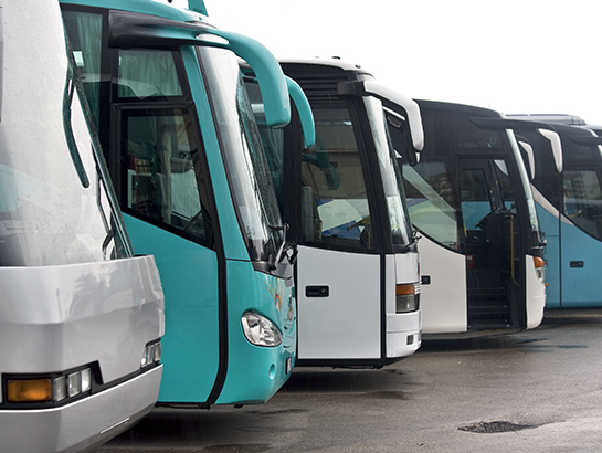 Visuel Conducteur de bus