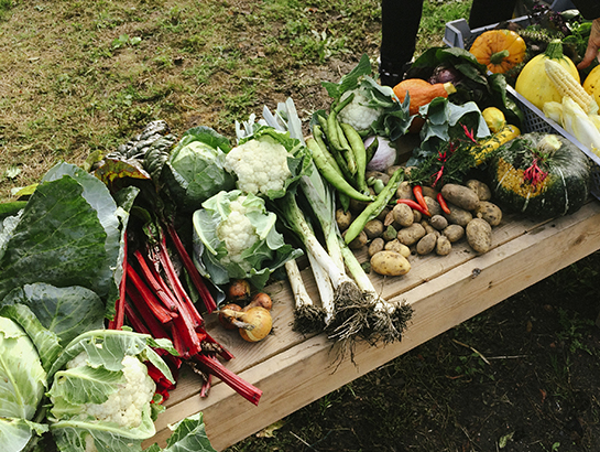 Légumes