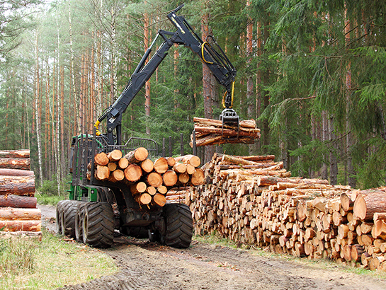 Photo : Conducteur / Conductrice d'engins forestiers
