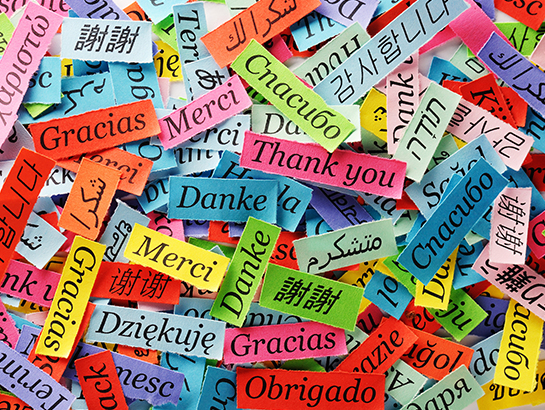 Photo : anglais